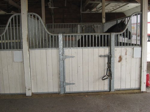 Property photo 42 - 80 Acres Offered in 4 Tracts - Horse Farm
